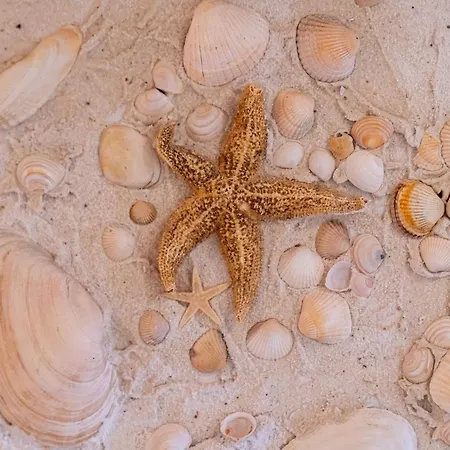 Σπίτι διακοπών Nest Und